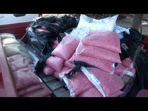 LANZAN LA CAMPAÑA DE SIEMBRA DE SEGUNDA EN PALO SANTO