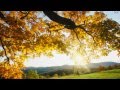 (HD 720p) "September Song",  Tony Bennett