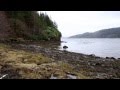 Bryan John Appleby - Cliffs Along the Sea 
