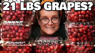 How We Used 21 Pounds of Grapes to Make Wine!