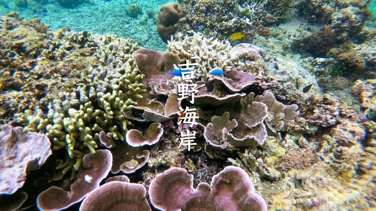 Yoshino Kaigan Beach