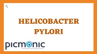 Helicobacter pylori in Microbiology | Peptic Ulcer - Gastric & Duodenal Ulcers