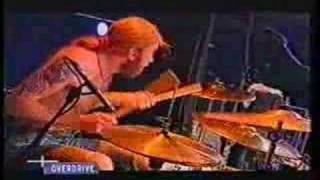 BACKYARD BABIES - Powderhead