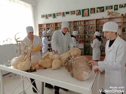 Екскурсія коледжем частина 1