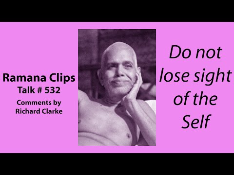 Do not lose sight of the Self - Ramana Clips Talk # 532