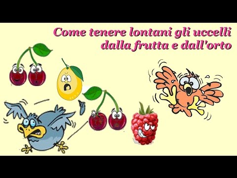 Come in un giorno si libererà da vermi Helminths ai pesci