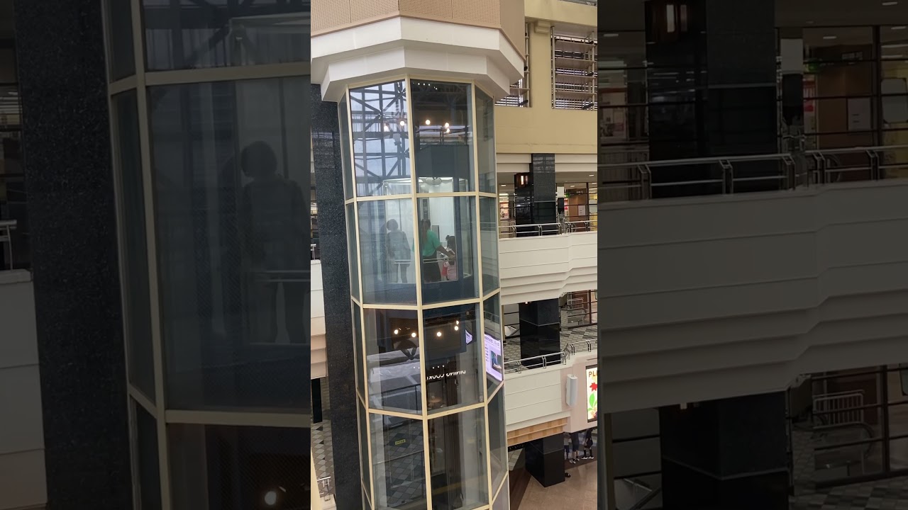 西神中央での暮らし #japanesesinger #bestcollab #americanmusic #日本の歌手 #ベストコラボ #イーストウェスト #アメリカンミュージック #japan