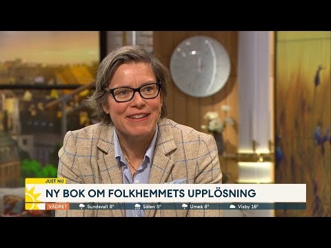 Lena Andersson: "Livet är trögt" - Nyhetsmorgon (TV4)