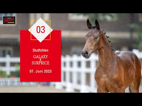 03 Stute v. Galaxy - Surprice
