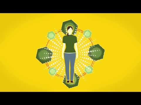 The Endocannabinoid System