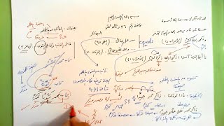 صورة 36 🔦 بصيرة النائب عن المطلق