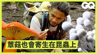 [問卦] 學做菇農前景如何