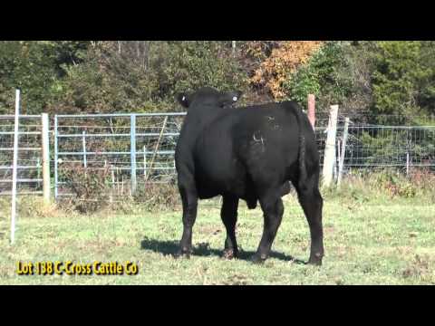 Lot 138 C Cross Cattle Co