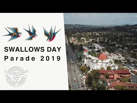 download lagu mp3 mp4 Swallows Return To Capistrano 2019, download lagu Swallows Return To Capistrano 2019 gratis, unduh video klip Swallows Return To Capistrano 2019