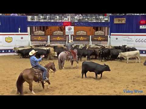 Dandy Cat - 2017 NCHA Summer Spectacular