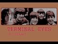 Al Stewart - Terminal Eyes (LIVE 1973)