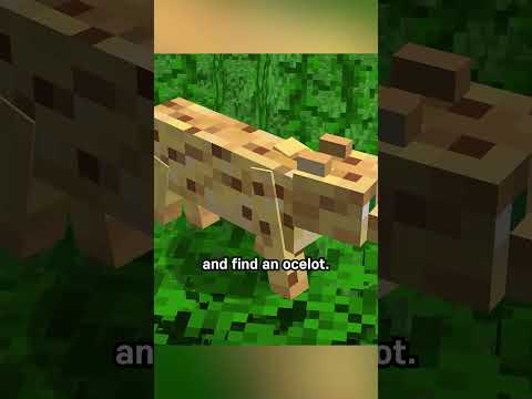 we used to tame ocelots