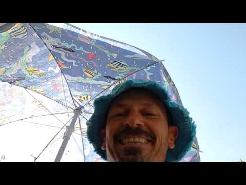 Domenica sotto l'ombrellone!