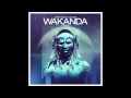 Dimitri Vegas & Like Mike - Wakanda (Zatox ...
