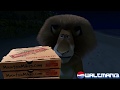 Allaxx Becomes A Pizza Guy