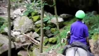 Download lagu Hodges, AL new Equestrian Trails mp3 Download lagu Hodges, AL new Equestrian Trails mp3