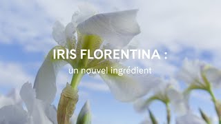 Qu’est-ce que l’Iris Florentina? La science de la peau