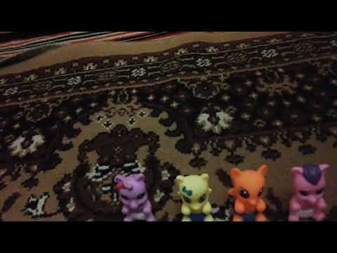 Mini ponei bebelusi castigati la ou