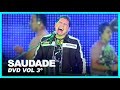SAUDADE - Washington Brasileiro (DVD Vol 3º)