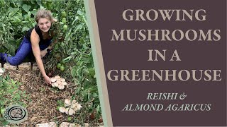 Growing Mushrooms in a Greenhouse