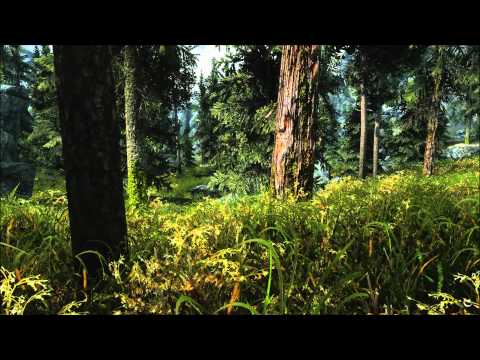 Let's Play Skyrim part 79