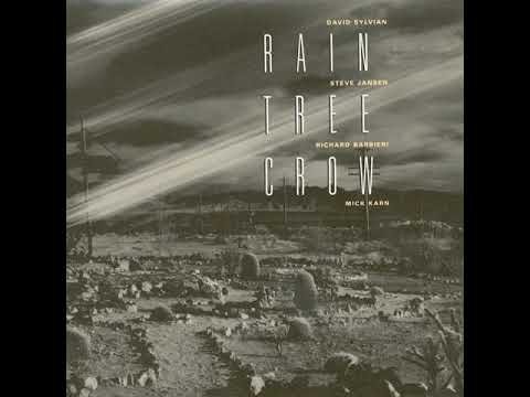 Rain Tree Crow - Blackcrow Hits Shoe Shine City - 1991 - Remastered 2003