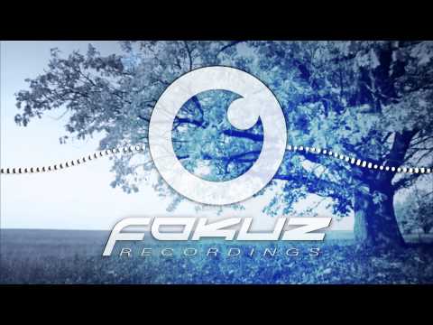 Need For Mirrors & HLZ - Slash