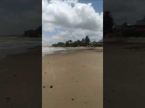 🌿🌺📍Las Flores (Maldonado, #Uruguay )🌳🌴