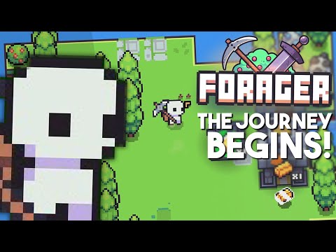 A NEW ADVENTURE! | Forager Playthrough Episode 1