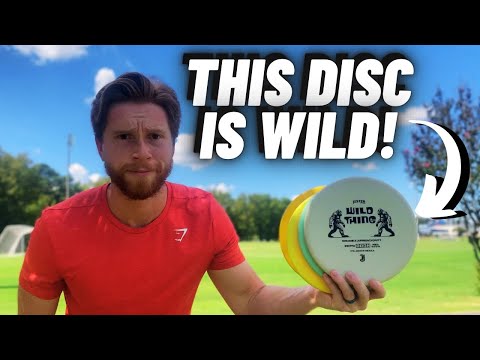 Best Beginner Approach Disc? Jester Disc Golf “Wild Thing ...
