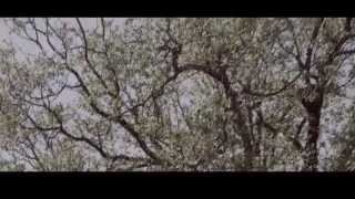 【Standing Egg】Kiss Me 《US 第四張正規專輯》官方全曲中字MV