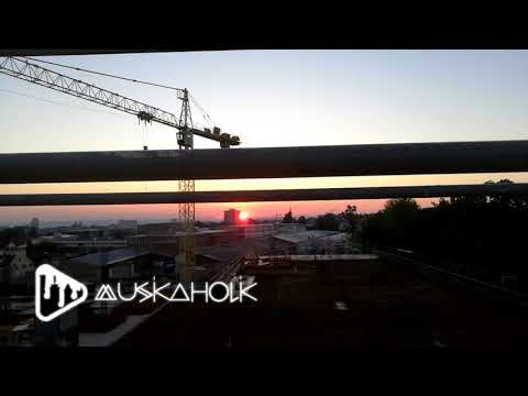 Musicaholic - Die Flut