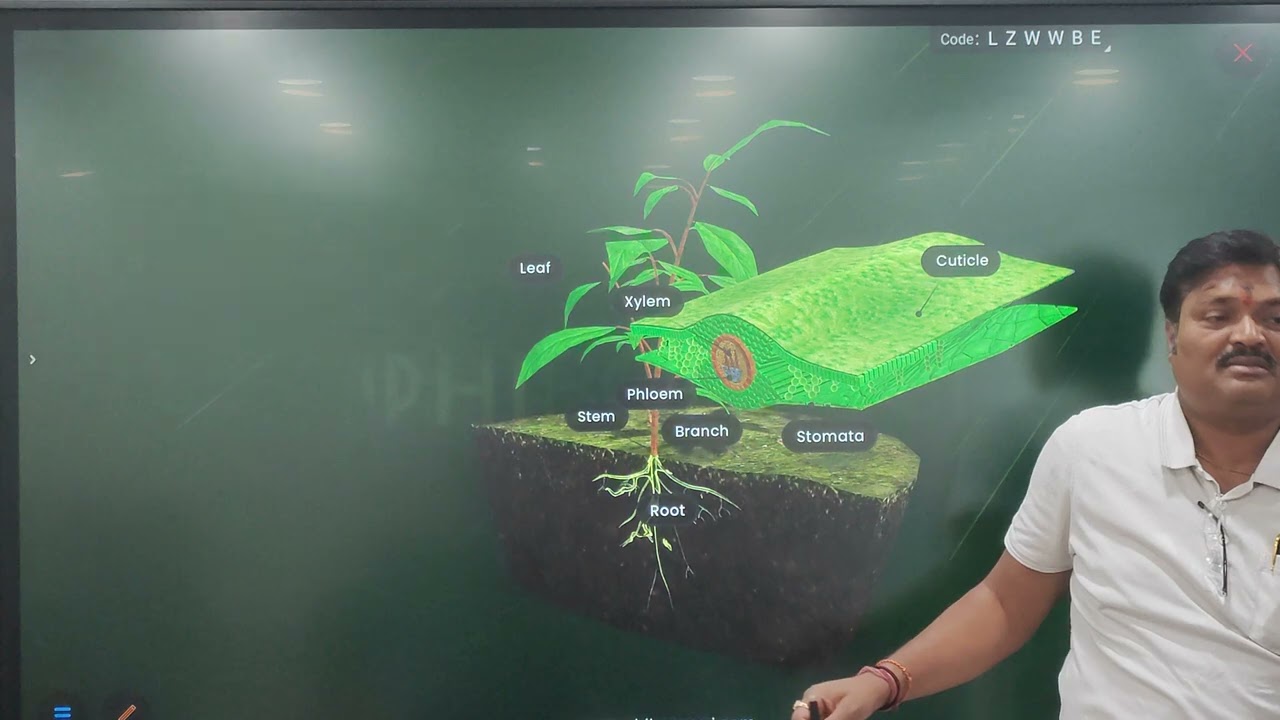 Photosynthesis | Biology  | Camritz Global School