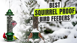 3 BEST Squirrel Proof Bird Feeders - Keep Your Birds Fed, Not the Squirrels!