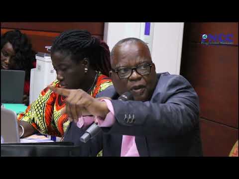 Résumé vidéo Atelier PNA Plan National Daptation secteur prive