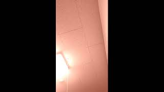 Live Stream - Cameleon Live for iPhone