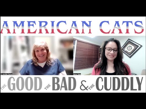 Jennifer Conrad Talks About The PURRducers In AMERICAN CATS: THE GOOD, THE BAD, AND THE CUDDLY