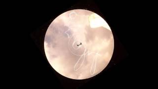 BEW - 86Clari (Filaria Mix)