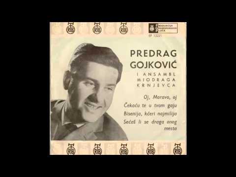 Predrag Cune Gojkovic - Secas li se draga onog meseca - (Audio 1963) HD