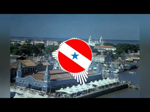 Banda 007 - Búfalo do Marajó