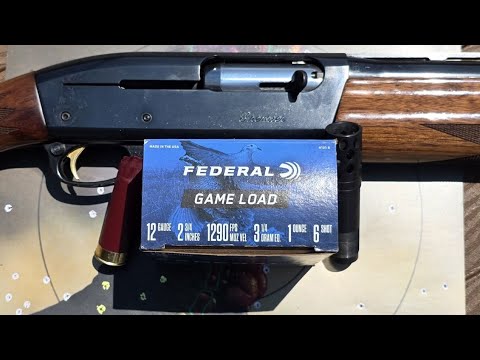 Federal Game Load 12ga 2-3/4" 1oz #6 Turkey Pattern Test W/ Remington 11-87 & Kicks .655 Choke