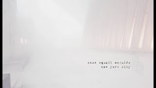 Monster snowstorm hits New York City. Snow Squall. 3D Audio DJI Osmo Pocket 4K 60P