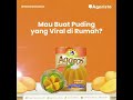 Agaros Solusi Bikin Pudding Yang Lagi Viral Dan Bisa Dijadikan Peluang Usaha Agarista