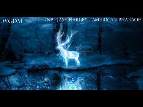 #NP JASE HARLEY - AMERICAN PHARAOH ( Gambino ripped ?? )