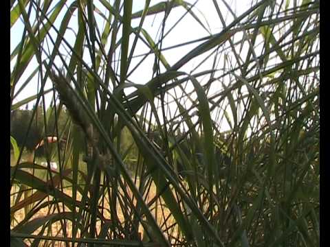 download lagu mp3 mp4 Absoluuttinen Nollapiste Kiilakivi, download mp3 Absoluuttinen Nollapiste Kiilakivi free downloadn, video klip Absoluuttinen Nollapiste Kiilakivi